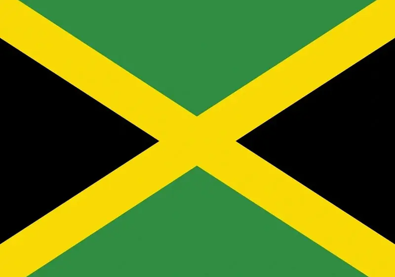 A flag of jamaica is shown in this picture.